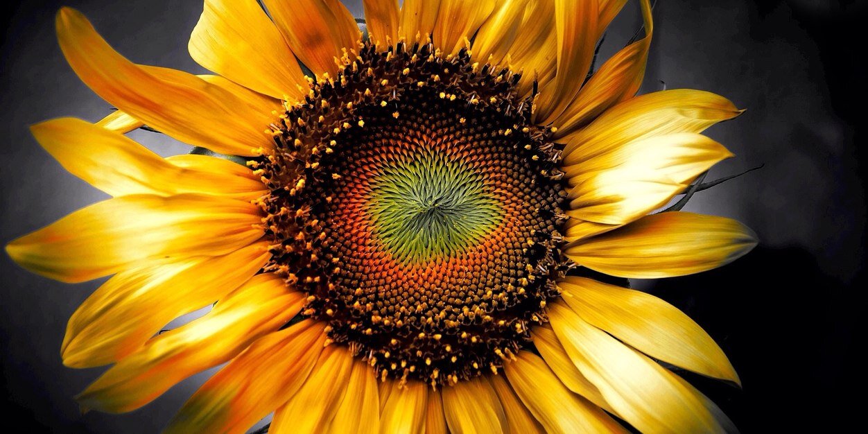 NowThatIsArt's profile banner image