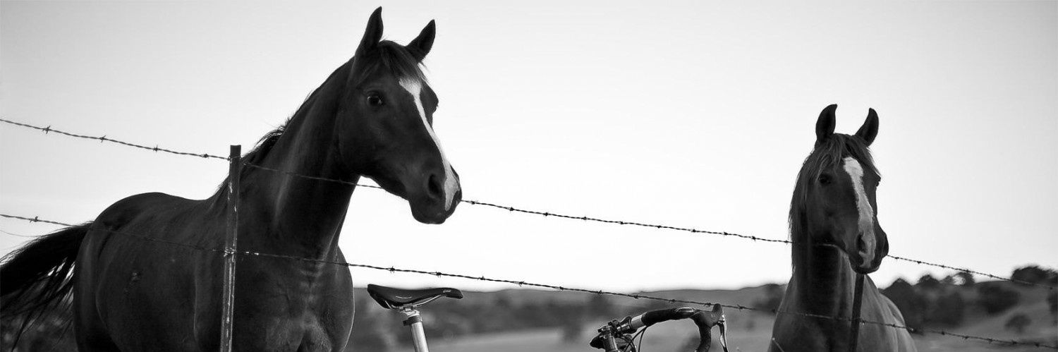 🏴󠁧󠁢󠁳󠁣󠁴󠁿ᴍᴀᴄᴅᴜꜰꜰ⚔️【ツ】 banner