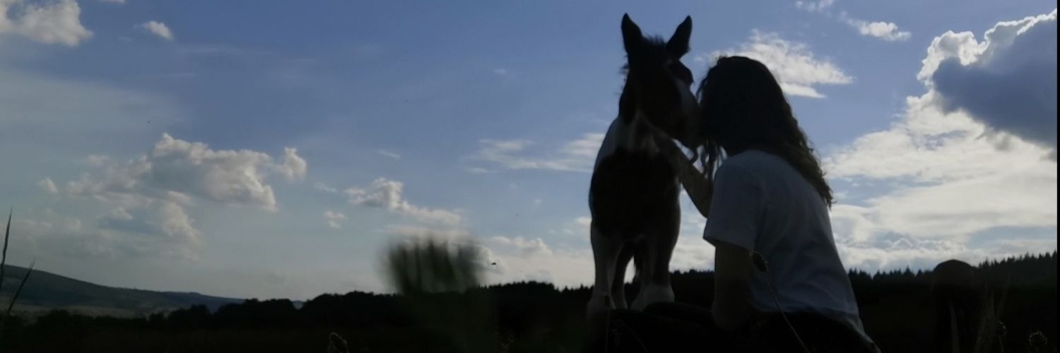 LeaSalle's profile banner image