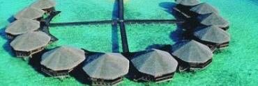 tuti_sandy's profile banner image