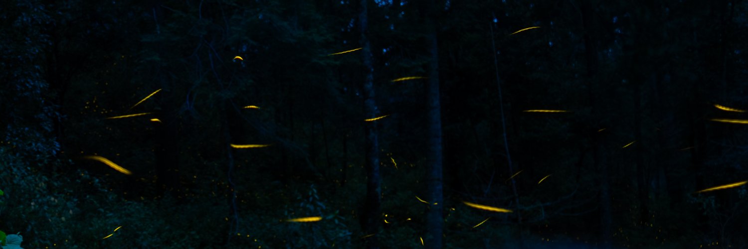soiyayo_'s profile banner image