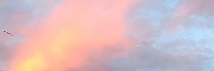 moooAbby's profile banner image