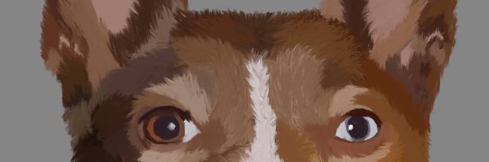northdakoata's profile banner image