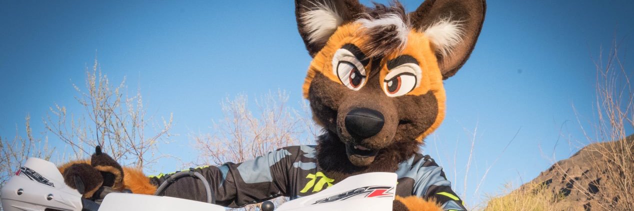 fraudulentfox's profile banner image