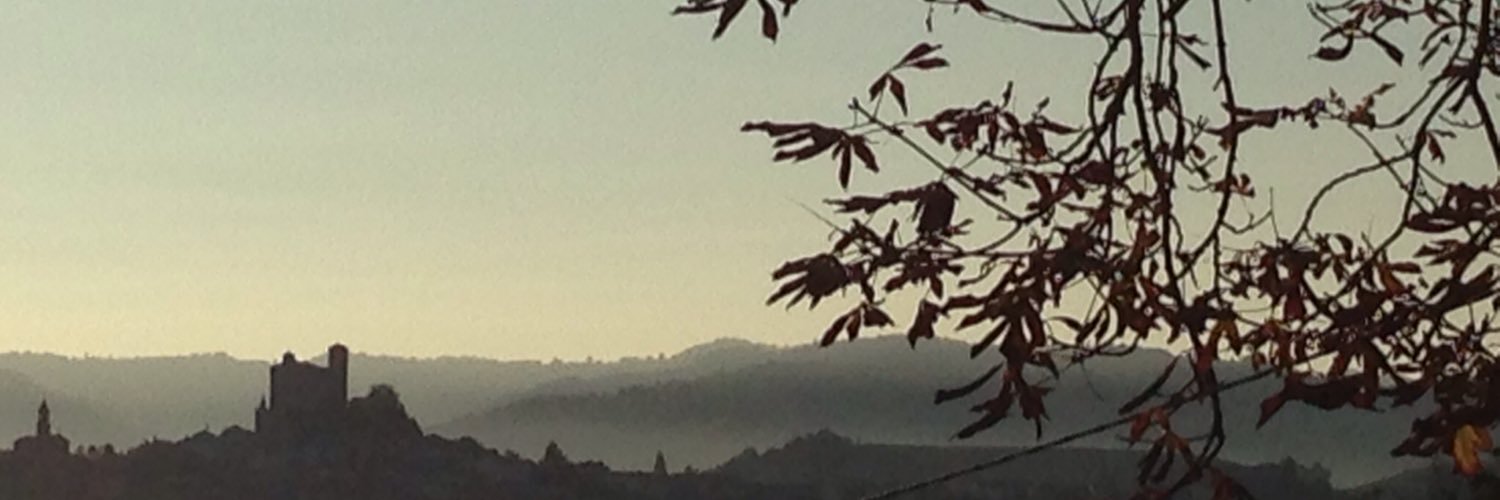hannailen's profile banner image