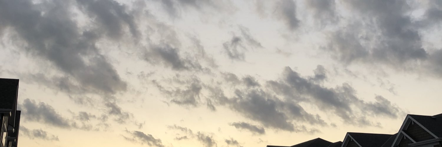 Linzabel's profile banner image