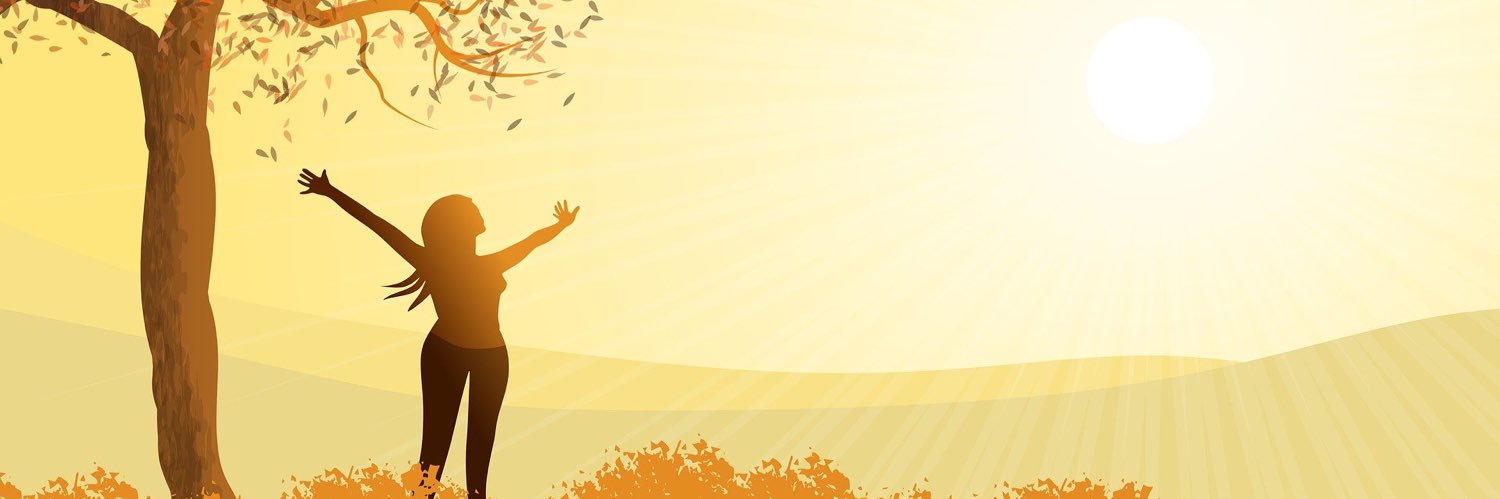 SuccessListed's profile banner image