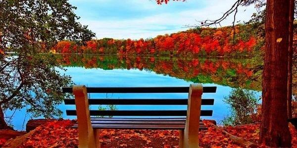 animalslife74's profile banner image