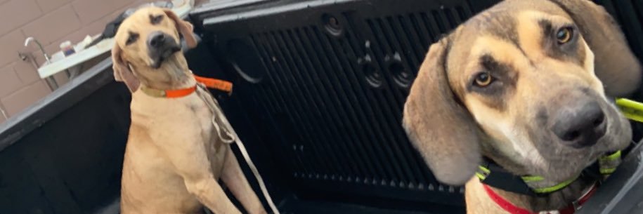 TylerJoup's profile banner image