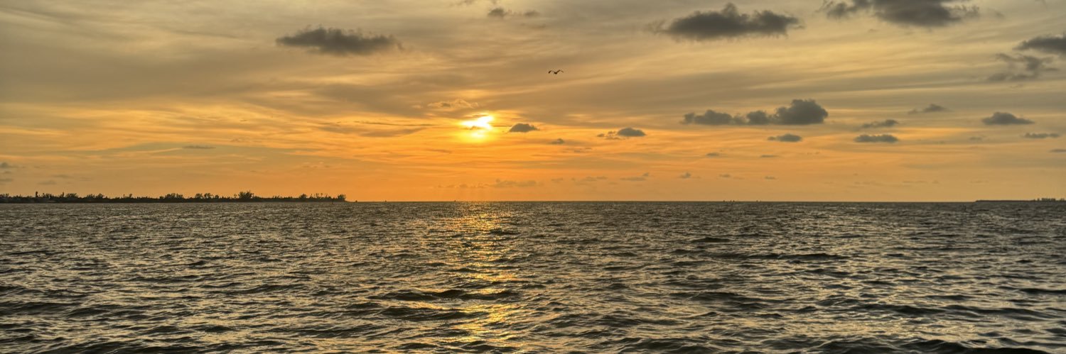 vkw68's profile banner image