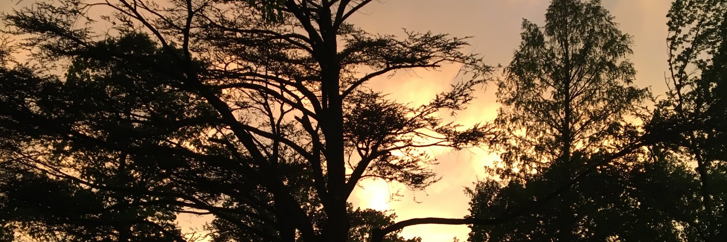 oddTolu's profile banner image