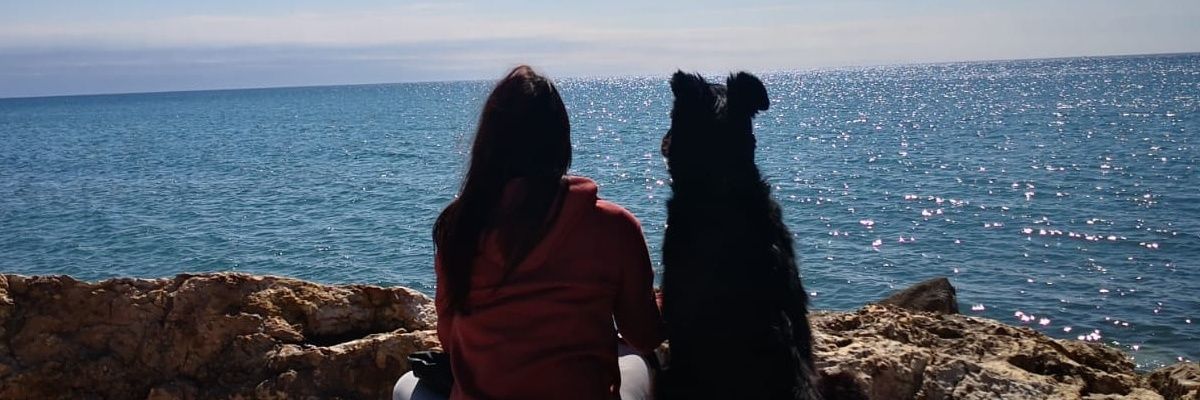 SritaTusi's profile banner image