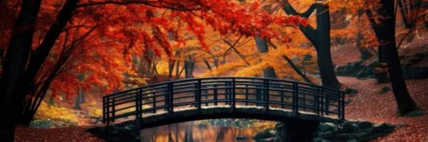 MariaNMerkd Profile Banner