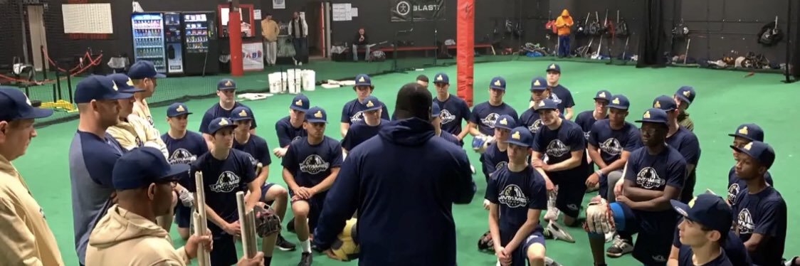 Untamed Baseball banner