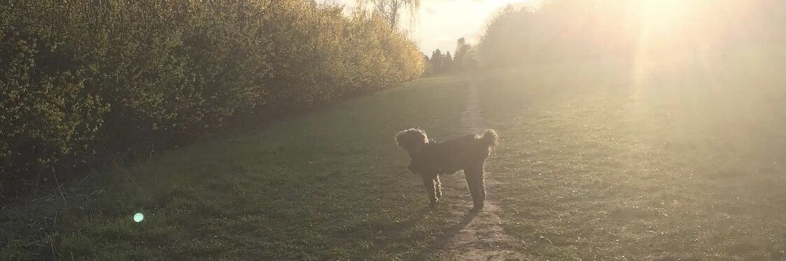 lizzieben7's profile banner image