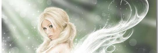 Celeste Crotts banner