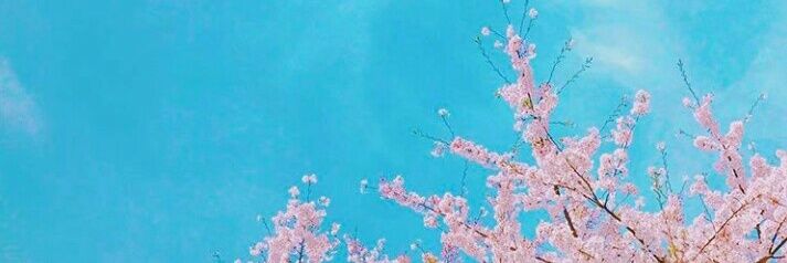 S u n banner