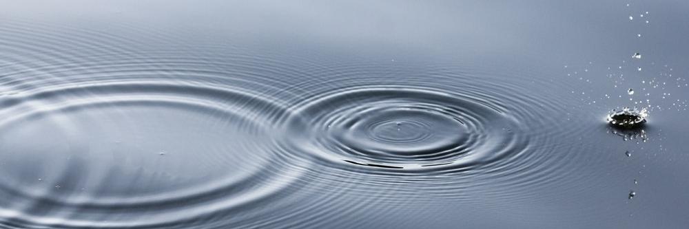 ripplemate's profile banner image