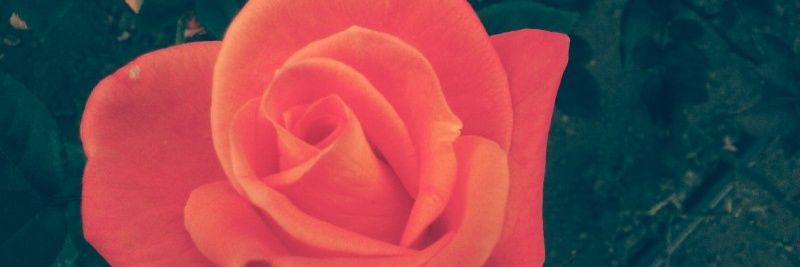 KteRamirezg's profile banner image