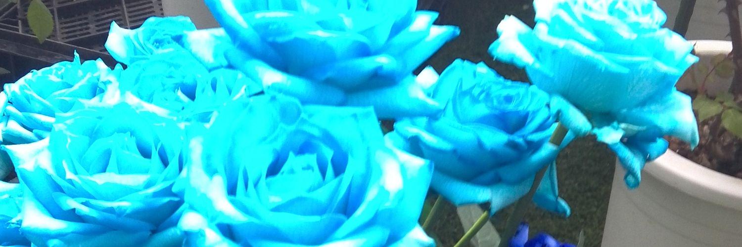 kouryo443's profile banner image