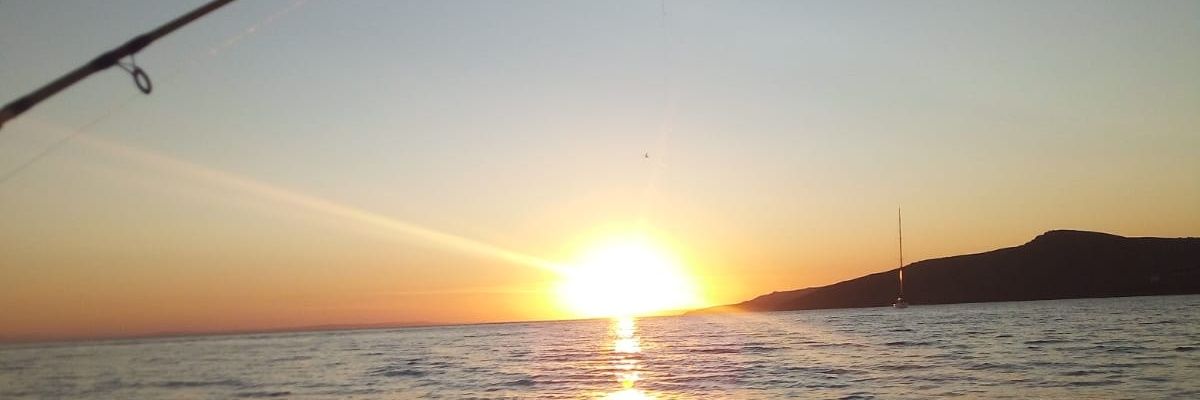 Balkayaislam's profile banner image