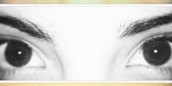 Romi banner
