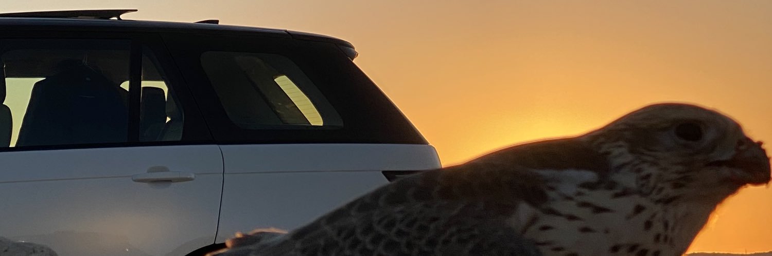 محمد فيصل الضاحي banner