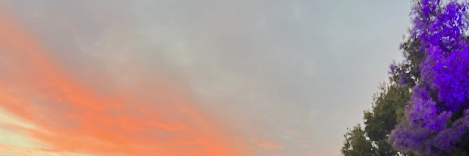 leighnoo's profile banner image