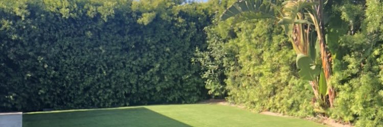 MeanwhileinHB banner