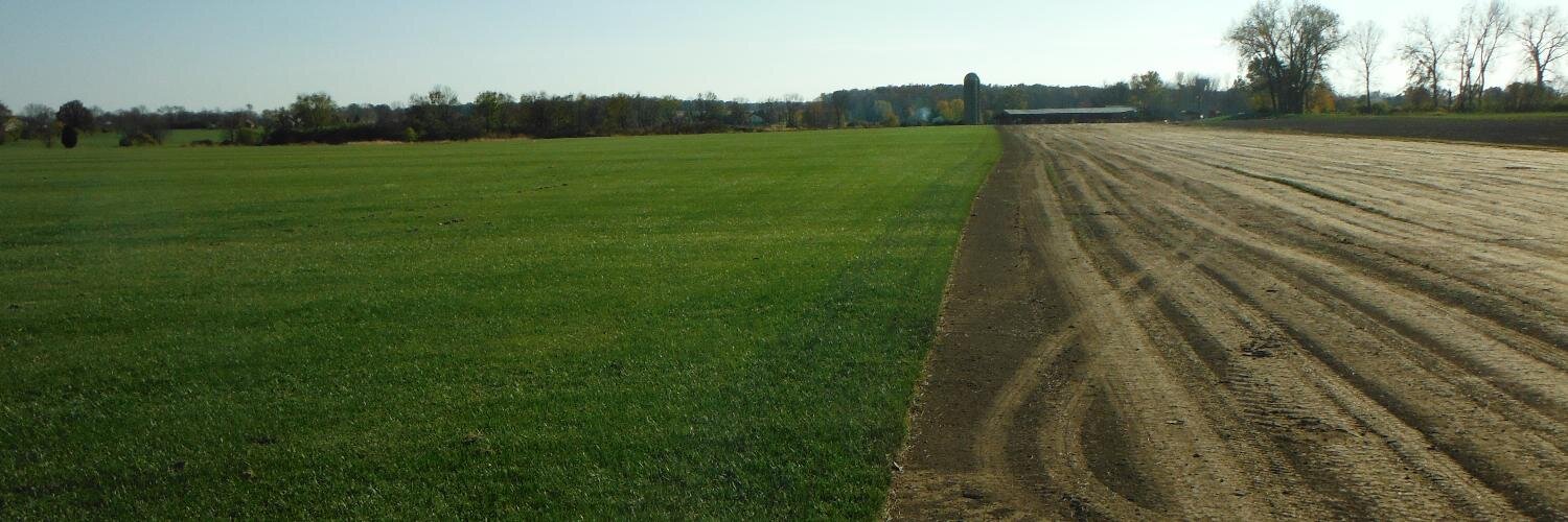 HendersonTurf's profile banner image
