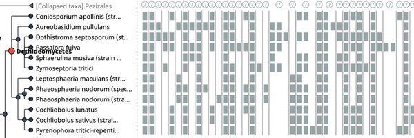 OMABrowser Profile Banner