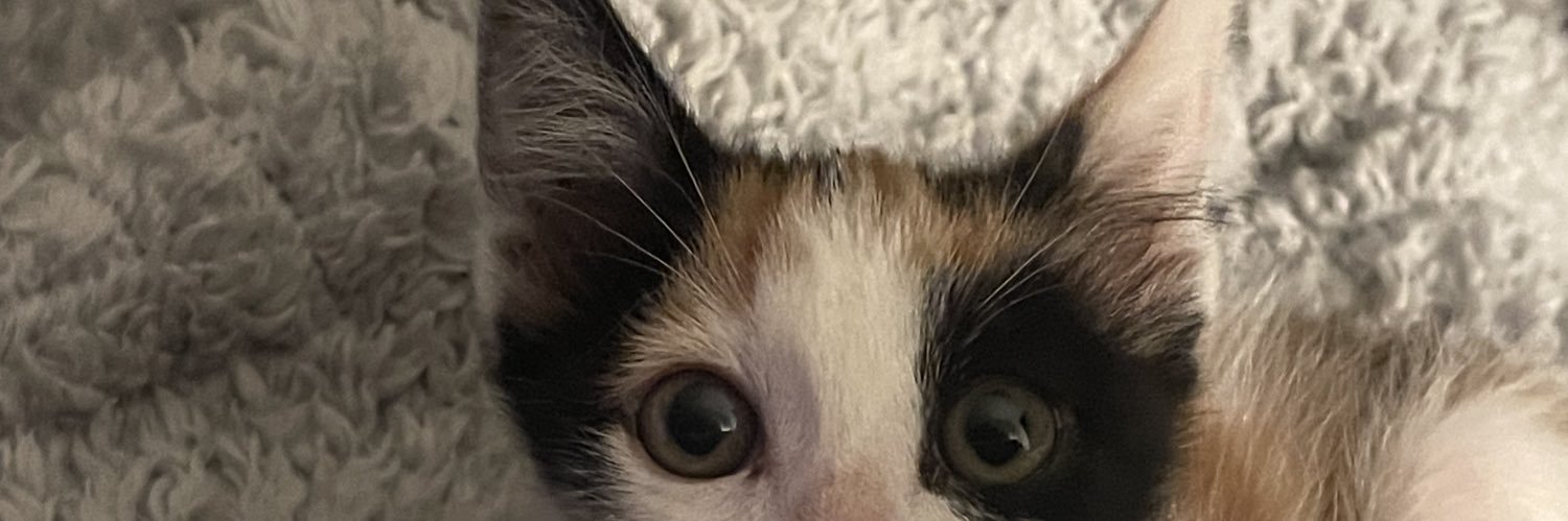 so_indh's profile banner image