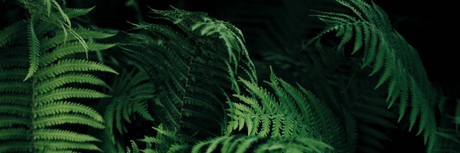 amike1030's profile banner image