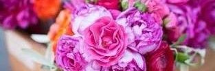 judithramflo's profile banner image