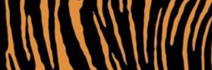 binnimer's profile banner image