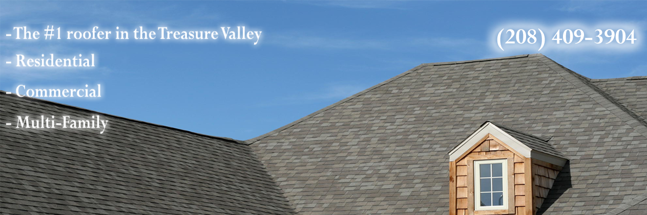 Paradigmidaho's profile banner image