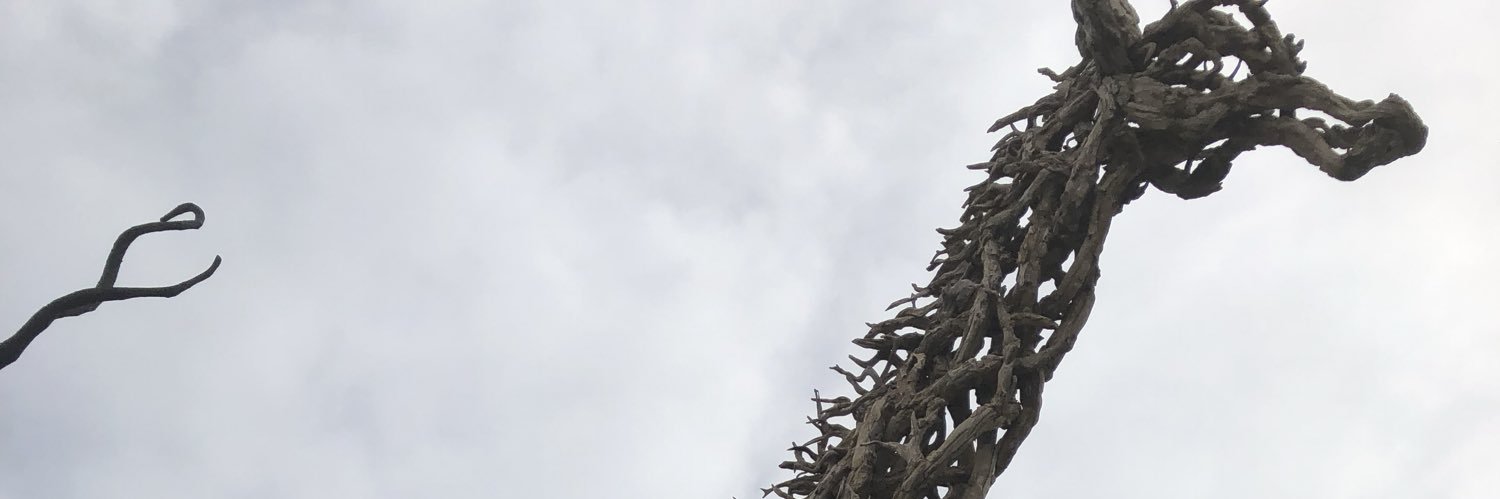 Sam banner