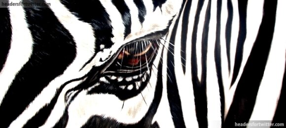 ldimditdi's profile banner image