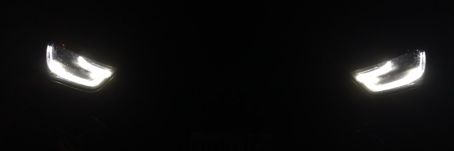WolfDobrovetsky's profile banner image