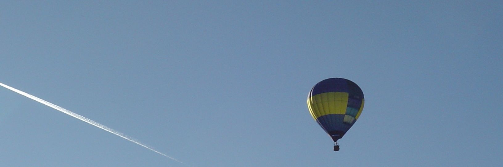 Robert Vaughan banner