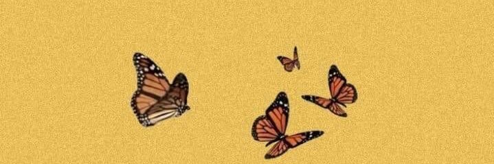 akulida's profile banner image