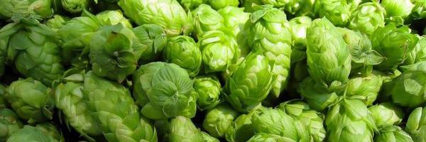 The HAPPY PINT banner