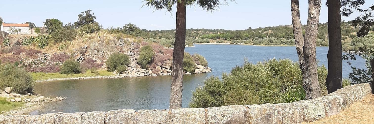 Rui_Daniel_17's profile banner image