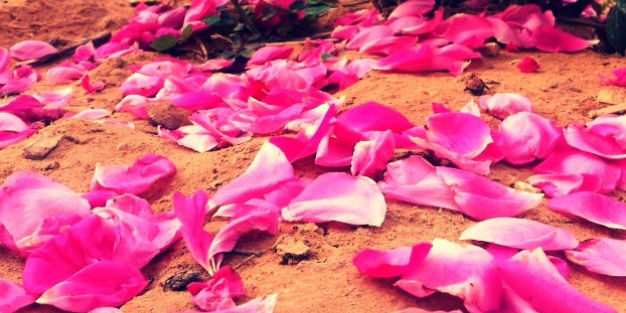 asma_9292's profile banner image