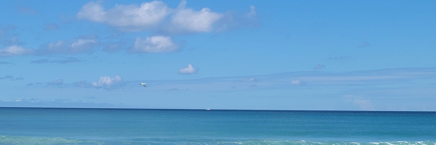 pjlopez51's profile banner image