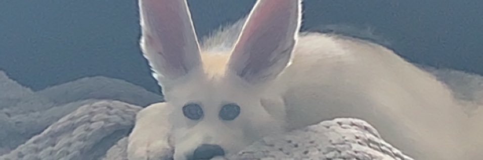ImBoone's profile banner image