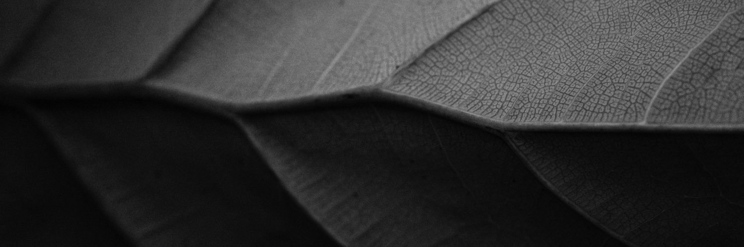 bipolaroidboy's profile banner image