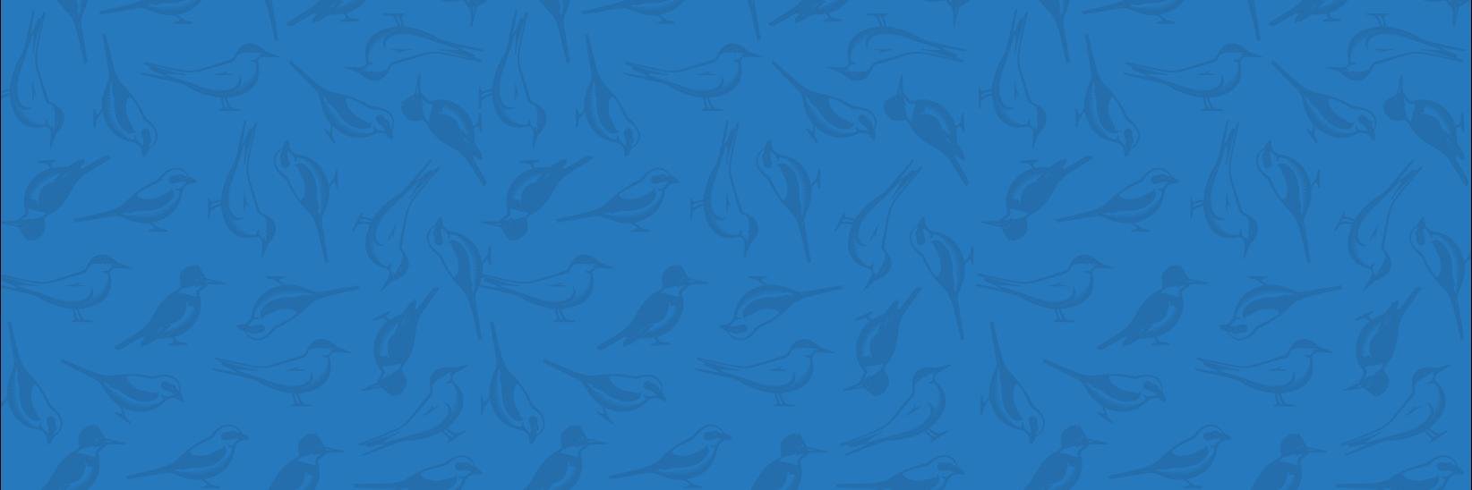 SPDistillery's profile banner image