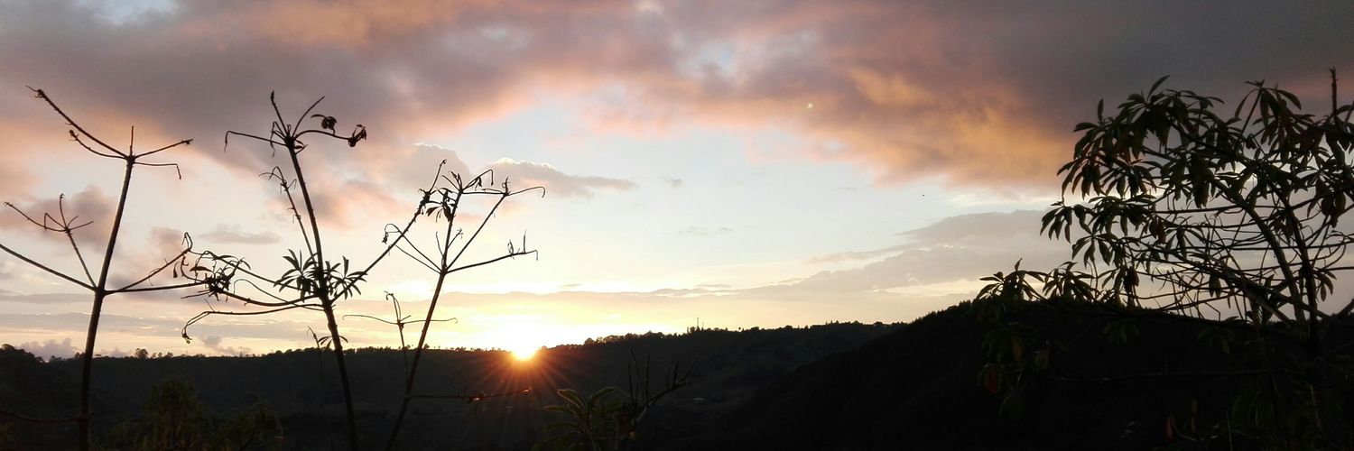 ElMQ03's profile banner image