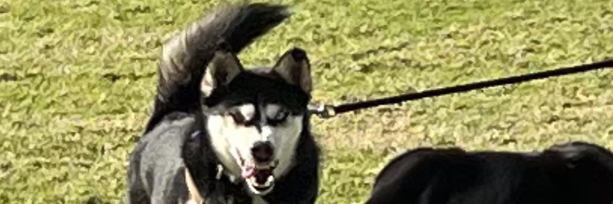 BrokedownBash's profile banner image